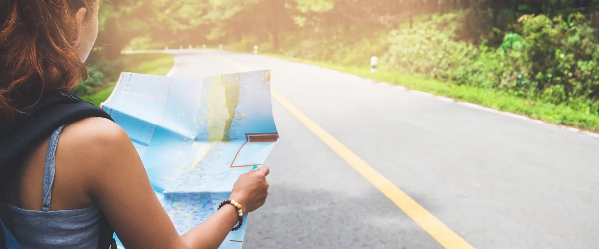 Lumière filtrée à travers les pins, calme et direction